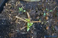 comp_DSC08886.webp