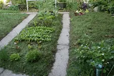 Mai  0120.webp
