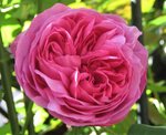 IMG_3514.JPG