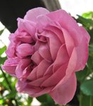 IMG_3512.JPG