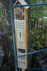 comp_DSC08891.jpg