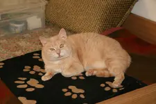 Mai0520.JPG