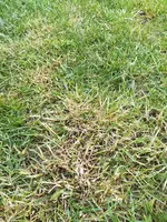 IMG_20200506_171121.webp