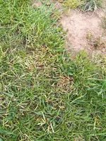 IMG_20200506_171128.webp