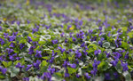 DSC_0069dddddddddddddddddd.JPG