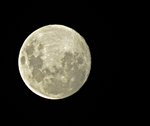 IMG_4292 v (1) - Copy.JPG