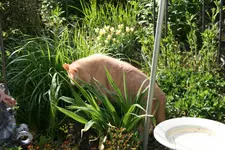 Mai0920.webp