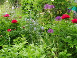 P1050177.JPG