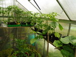 P1050180.JPG
