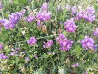 IMG_20190509_135818.webp
