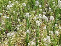 IMG_20190509_134507.webp