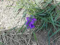 IMG_20190526_084628.webp