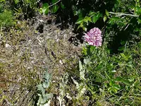 IMG_20190603_105631.webp