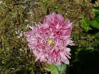 IMG_20190603_105645.webp