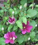 IMG_3661.JPG