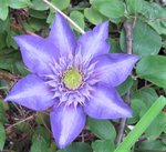 IMG_3653.JPG