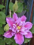IMG_3652.JPG