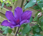IMG_3610.JPG