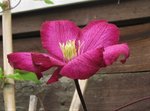 IMG_3377.JPG