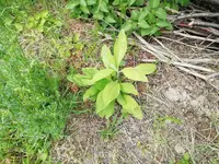 IMG_20200510_145909.webp