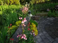 DSC00994.webp