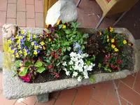 DSC00989.webp