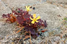 DSCN1855.webp