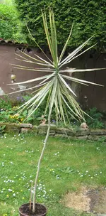 Zwischenablage01.webp