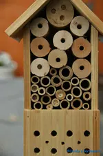 comp_DSC08903.webp