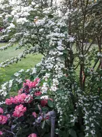 20200509_200742.jpg