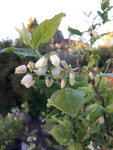 20200509_200708.jpg