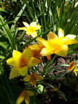 20200509_133228.jpg
