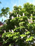 20200509_070405.jpg
