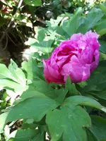 20200507_150254.jpg