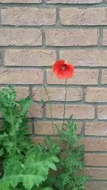20200510_141420.webp