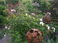 IMG_3715.webp