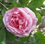 IMG_3702.webp