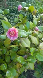 20200429_173805.webp
