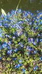 20200429_173930.jpg