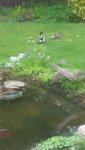 20200503_160644.jpg
