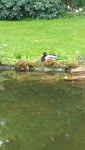 20200510_141307.jpg