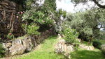Oliventerasse_Mauer2.JPG