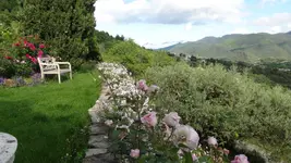 Oliventerasse_Mauer3.webp