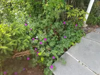 IMG-20200514-WA0018.webp