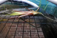 DSCN1887.webp