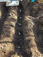 20200514_183119.webp 20200514_183119.webp