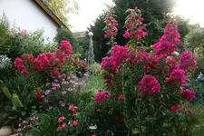 Terasse  4218.webp