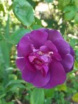20200509_175450.jpg