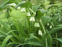 BILD1532.webp