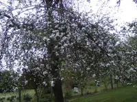 BILD1549.webp